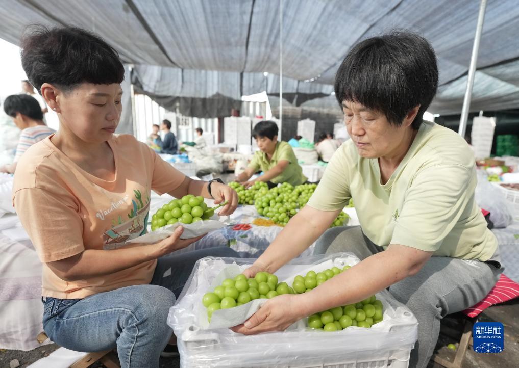 微乐斗地主电脑版游戏包下载